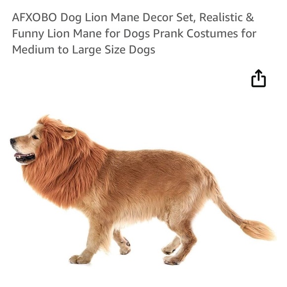 Lion 🦁 costume for dogs- comes with the mane and a tail piece. - Picture 4 of 6